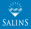 Bois et Acier logo-salins Accueil  